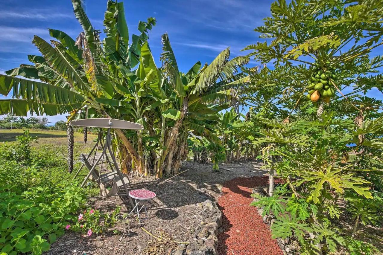 Tranquility Guest House Kailua-Kona Exterior foto